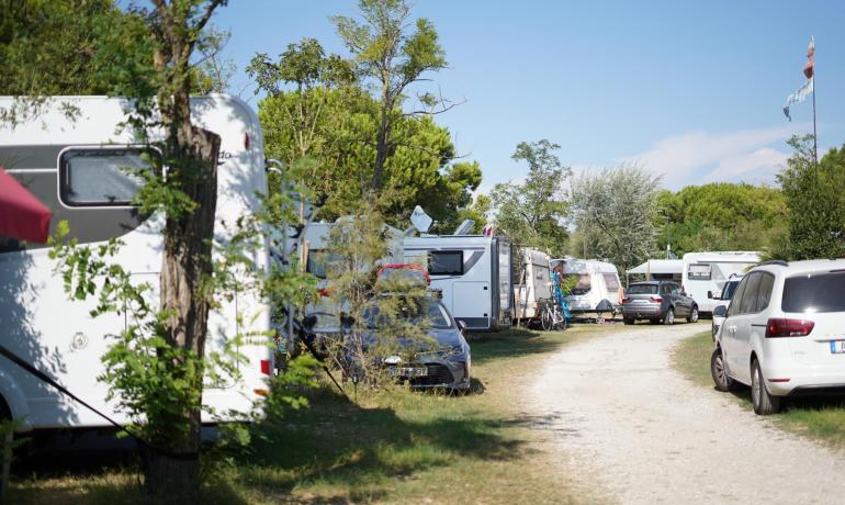 RVs parked in a green area with trees and clear sky.