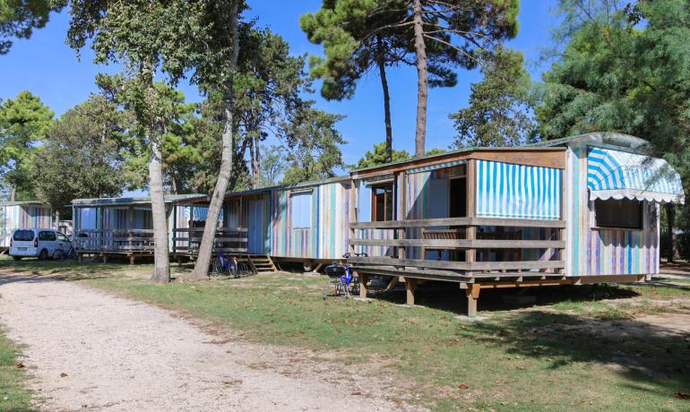 Colorful mobile homes in a campsite among trees.