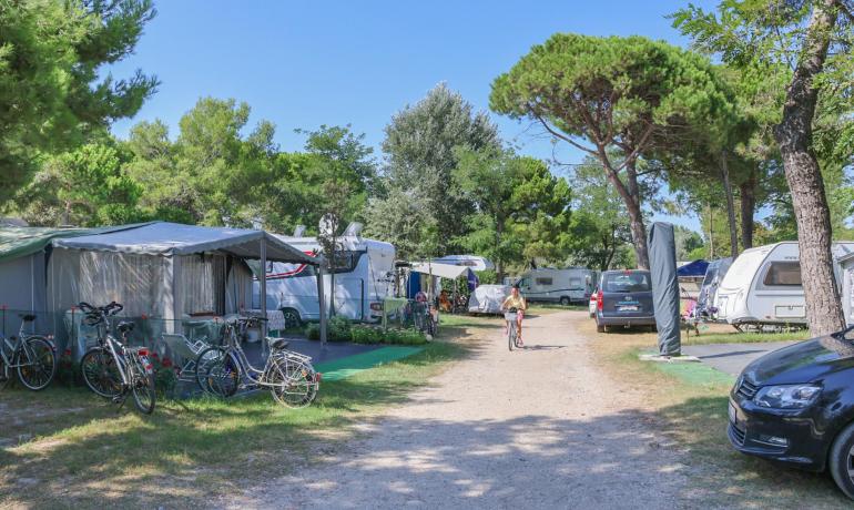 Campsite with caravans, bicycles, and green trees under a clear sky.