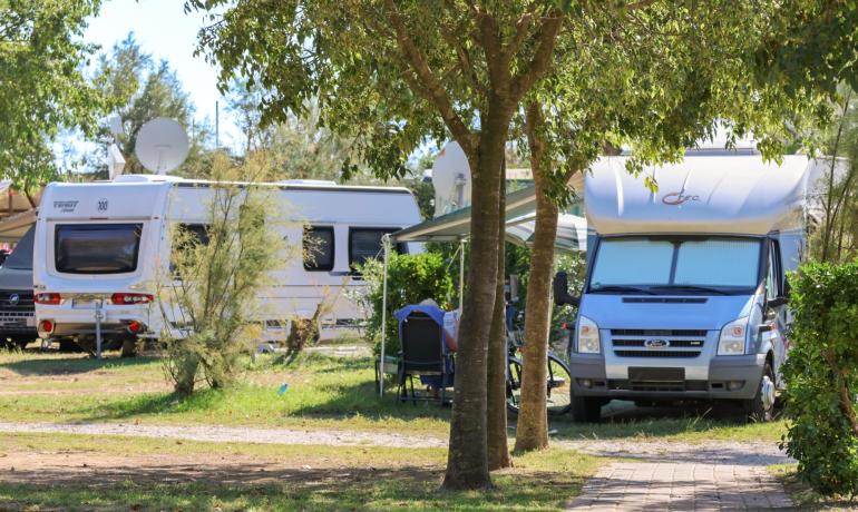 Camper vans and caravans parked in a shaded campsite.